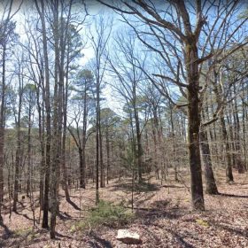 0.25 Acres of Mountainous Treed Land in Van Buren County, AR