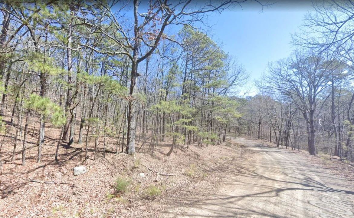 0.25 Acres of Mountainous Treed Land - Image 4