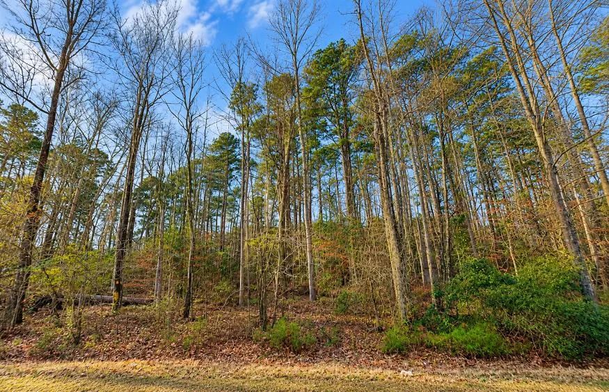 0.19-Acre Land Lot for Sale - Main image