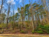 0.19-Acre Land Lot for Sale