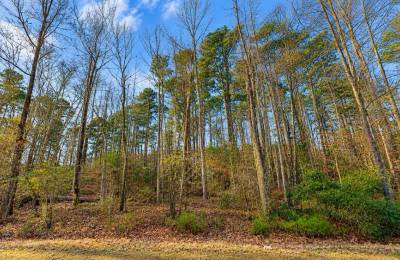 0.19-Acre Land Lot for Sale