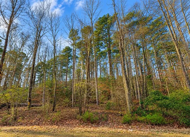 0.19-Acre Land Lot for Sale in Lauderdale County, MS