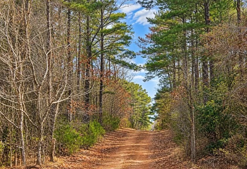 0.19-Acre Land Lot for Sale - Image 2