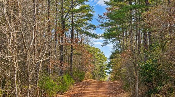 0.19-Acre Land Lot for Sale in Lauderdale County, MS