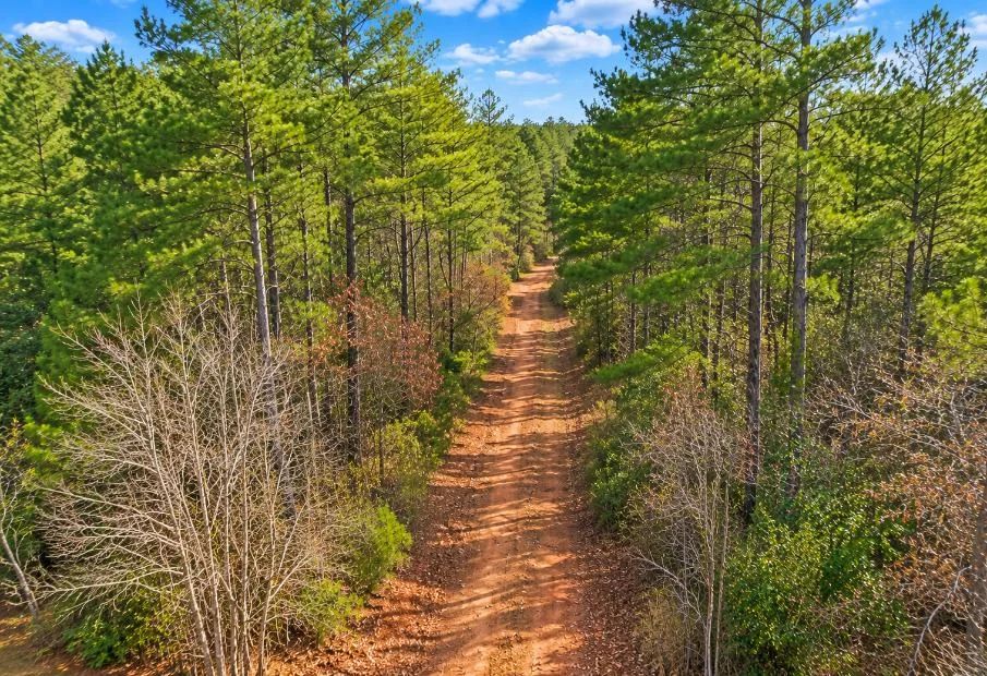 0.19-Acre Land Lot for Sale - Image 3