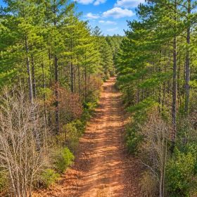 0.19-Acre Land Lot for Sale in Lauderdale County, MS