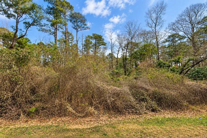 Decorative background for 0.19-Acre Land Lot for Sale image 5
