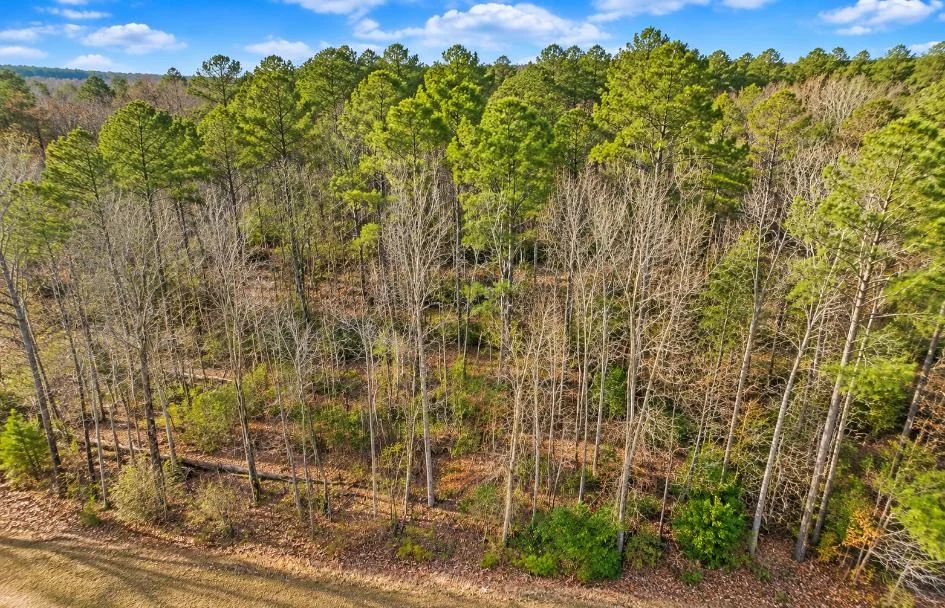 Decorative background for 0.19-Acre Land Lot for Sale image 6