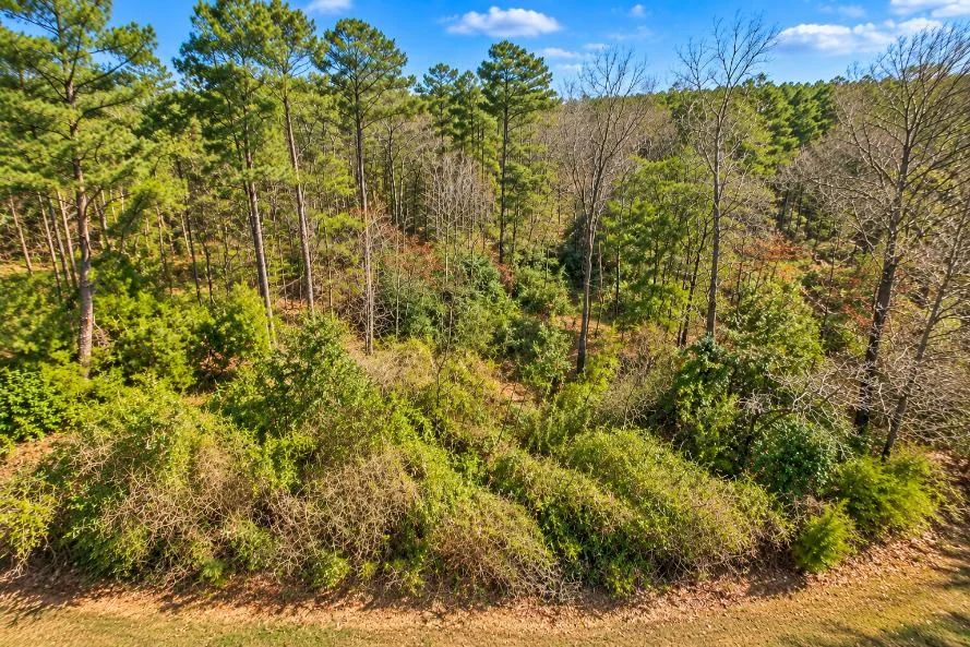 Decorative background for 0.19-Acre Land Lot for Sale image 7