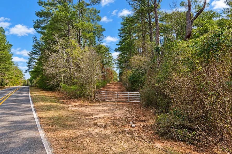 Decorative background for 0.19-Acre Land Lot for Sale image 8