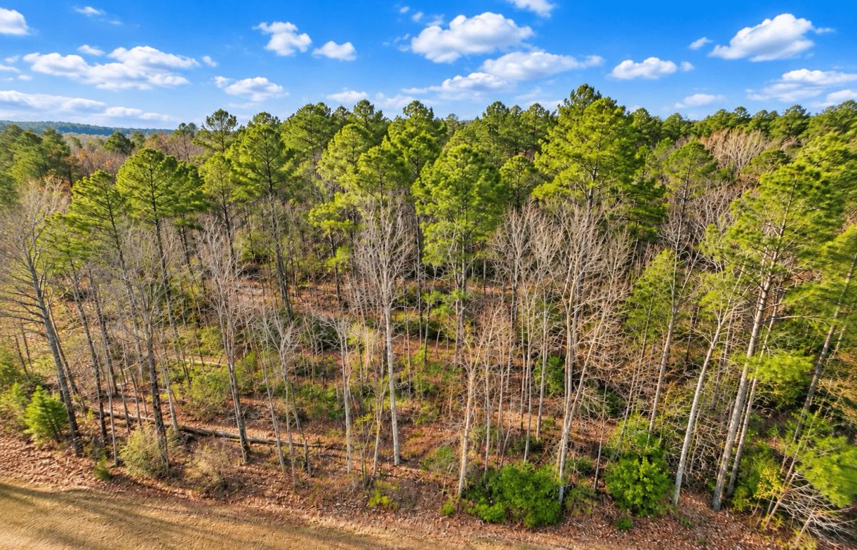 Decorative background for 0.19-Acre Land Lot for Sale image 23
