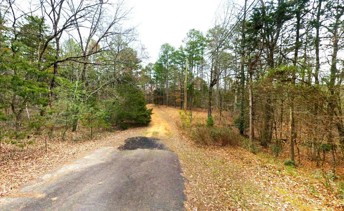 0.30-Acre Treed Land for Sale in Mountain View - Image 2