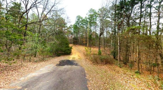 0.30-Acre Treed Land for Sale in Mountain View in Van Buren County, AR