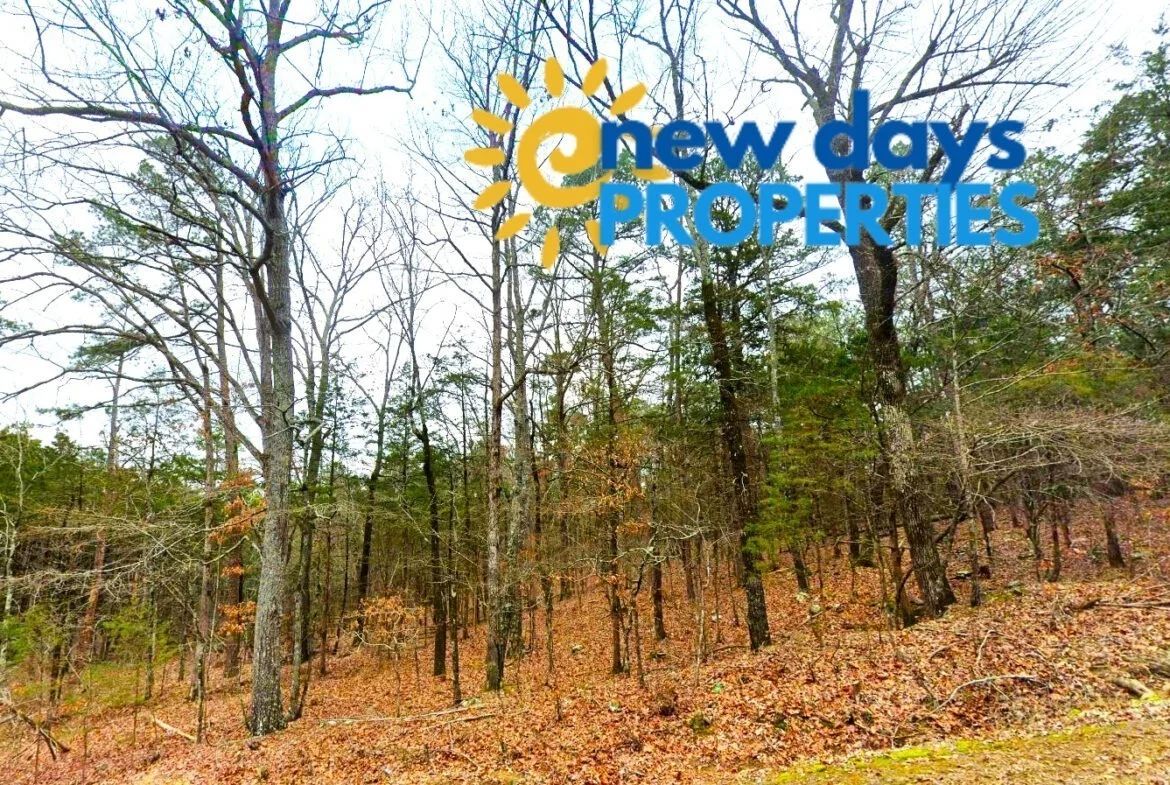 0.30-Acre Treed Land for Sale in Mountain View - Main image