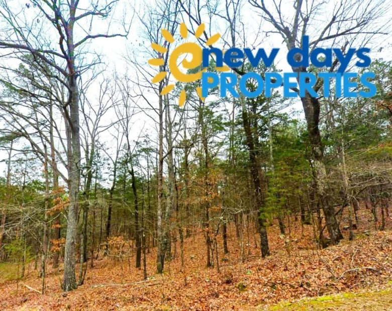 0.30-Acre Treed Land for Sale in Mountain View in Van Buren County, AR