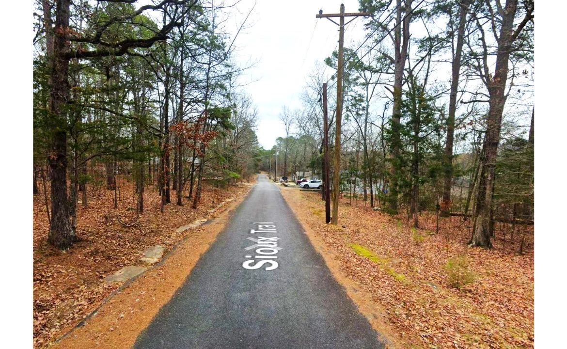 0.30-Acre Treed Land for Sale in Mountain View - Image 3