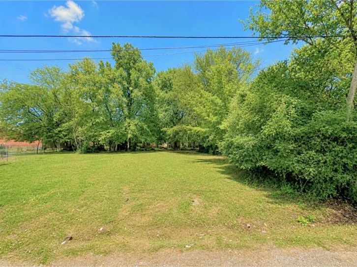 Decorative background for 0.05-Acre Ready-to-Build Lot image 5