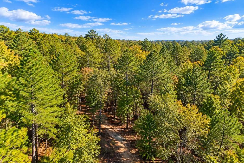 Peaceful Wooded 0.33-Acre Lot