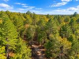 Peaceful Wooded 0.33-Acre Lot