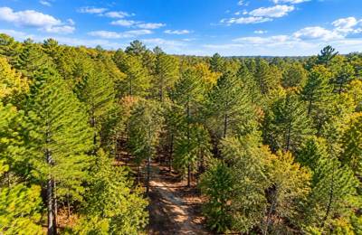 Peaceful Wooded 0.33-Acre Lot