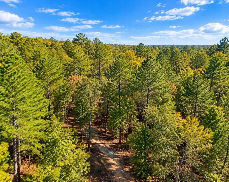 Peaceful Wooded 0.33-Acre Lot in Rankin County, MS