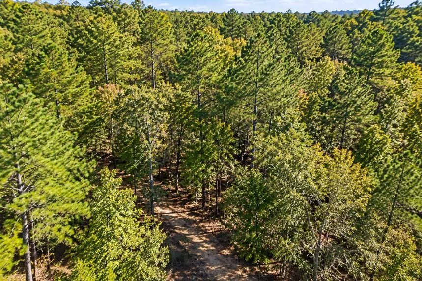 Peaceful Wooded 0.33-Acre Lot - Image 2