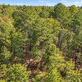 Peaceful Wooded 0.33-Acre Lot in Rankin County, MS