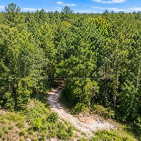 Peaceful Wooded 0.33-Acre Lot in Rankin County, MS