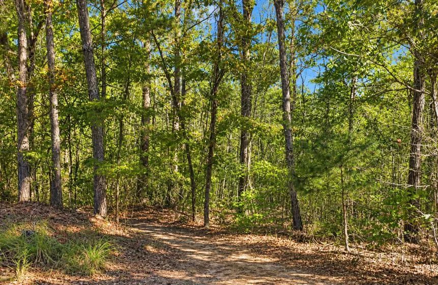 Decorative background for Peaceful Wooded 0.33-Acre Lot image 7
