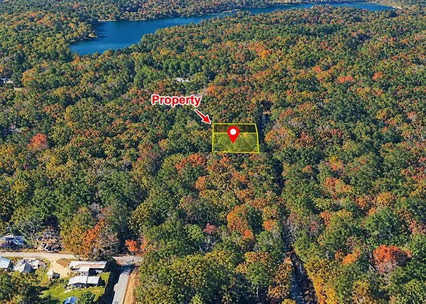 Decorative background for Peaceful Wooded 0.33-Acre Lot image 8