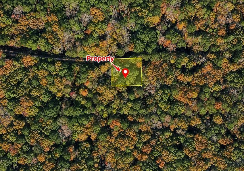Decorative background for Peaceful Wooded 0.33-Acre Lot image 10
