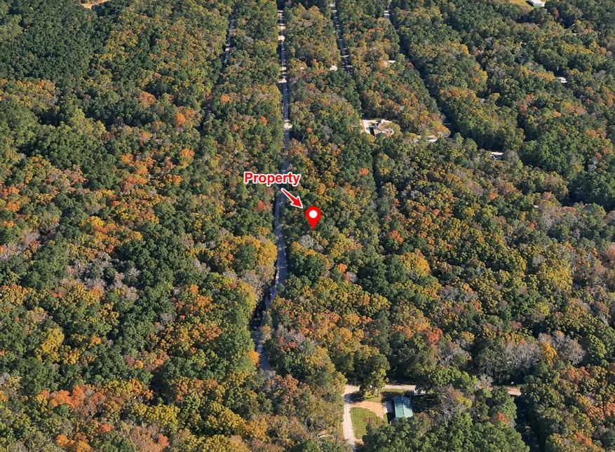 Decorative background for Peaceful Wooded 0.33-Acre Lot image 11