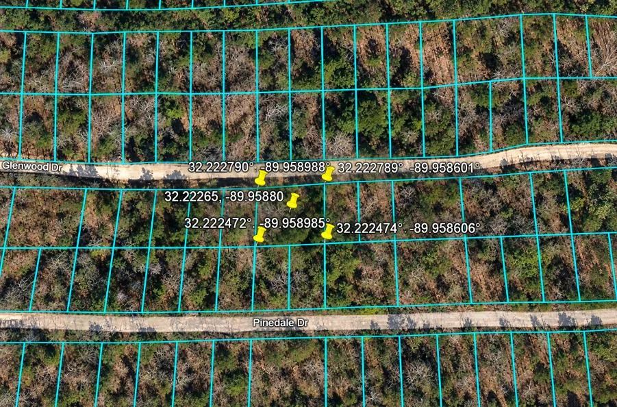 Decorative background for Peaceful Wooded 0.33-Acre Lot image 12