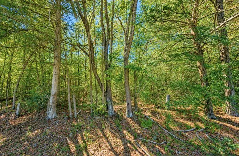 0.14-Acre Homesite in Laurel, MS - Image 4