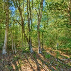 0.14-Acre Homesite in Laurel, MS in Jones County, MS