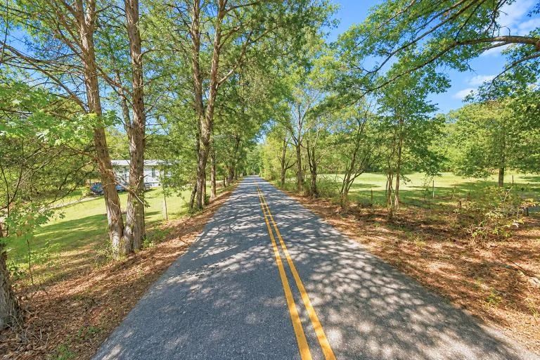Decorative background for 0.14-Acre Homesite in Laurel, MS image 8