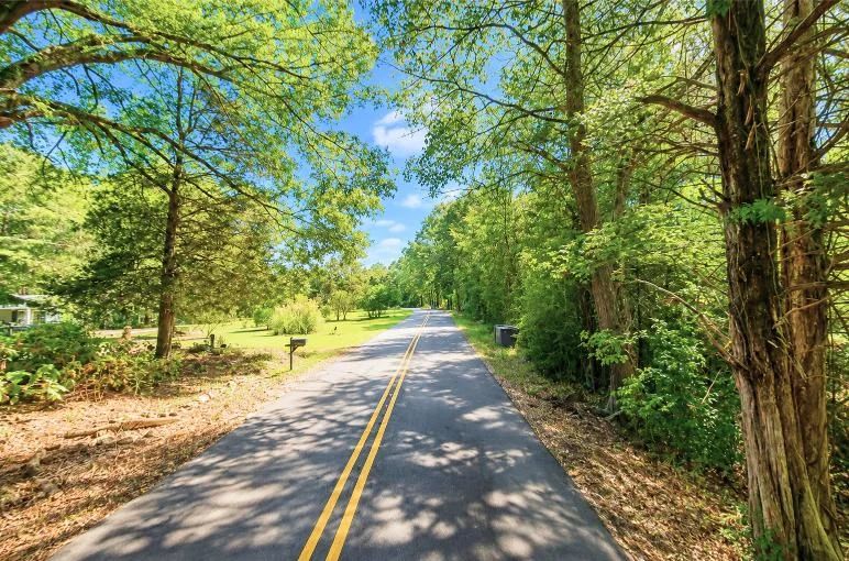 Decorative background for 0.14-Acre Homesite in Laurel, MS image 10