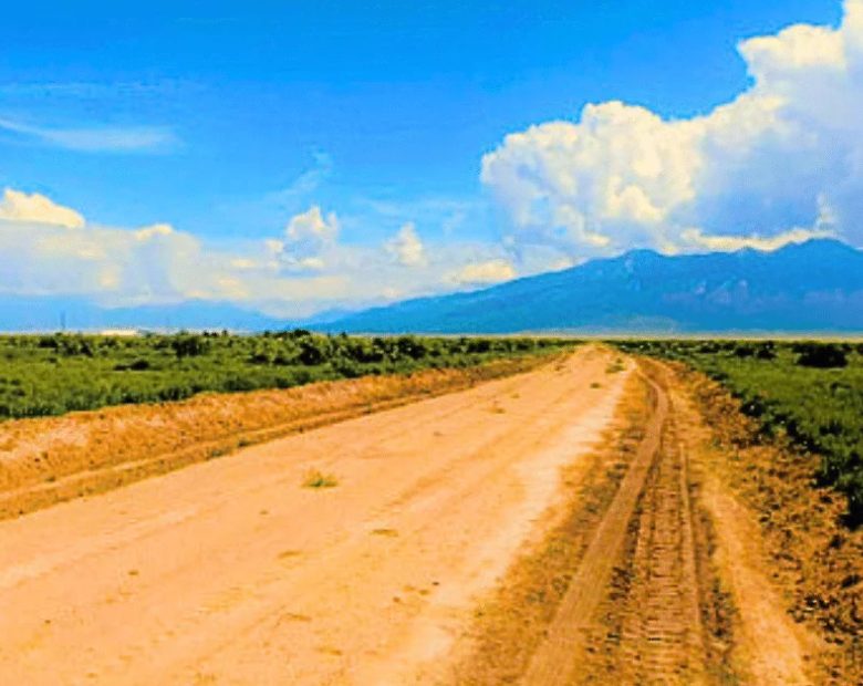 1.25 Acres Beautiful Land to Build in Alamosa County, CO