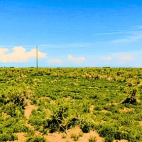 1.25 Acres Beautiful Land to Build in Alamosa County, CO