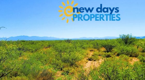 1.25 Acres Beautiful Land to Build in Alamosa County, CO