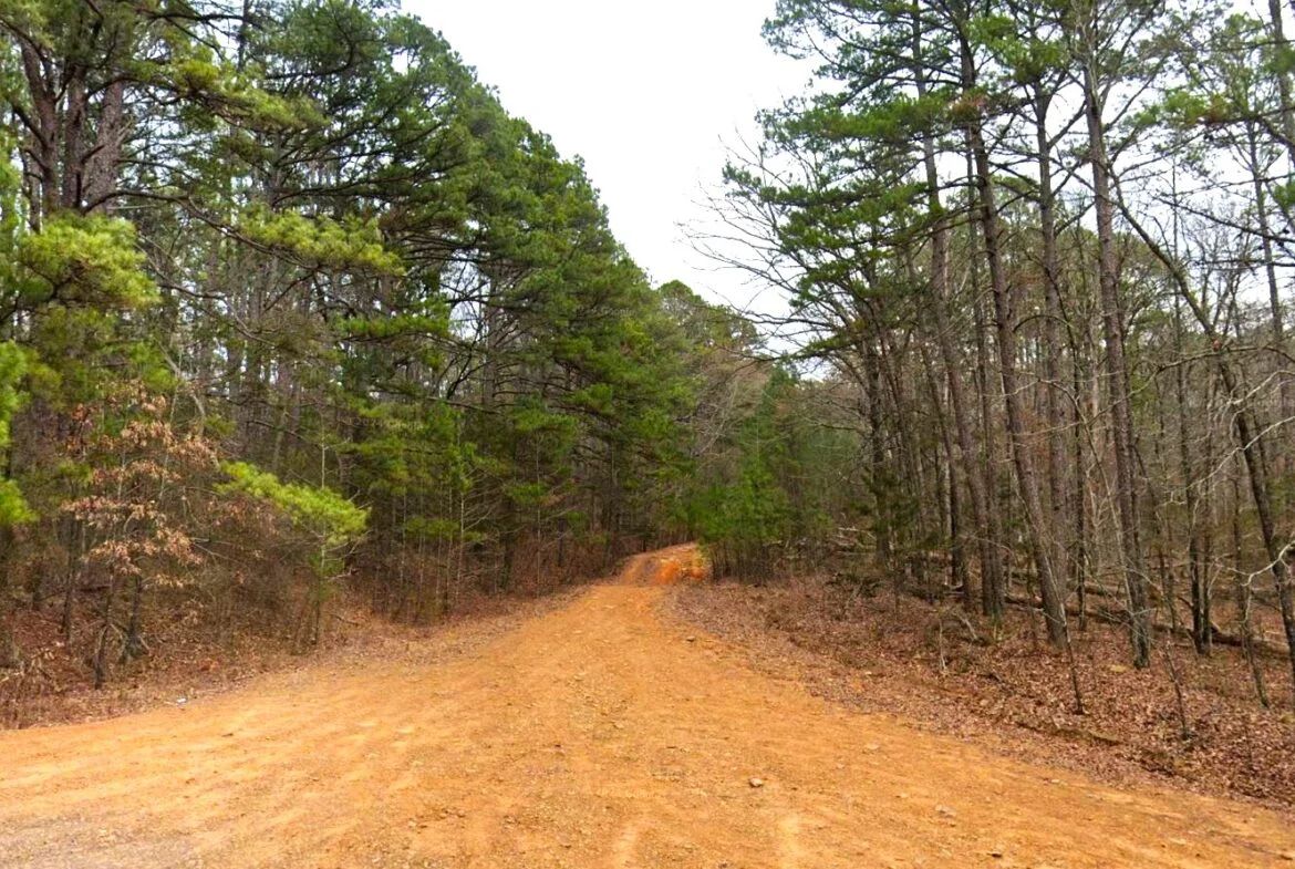 0.47-Acre Land for Sale in Mountain View Arkansas - Image 2
