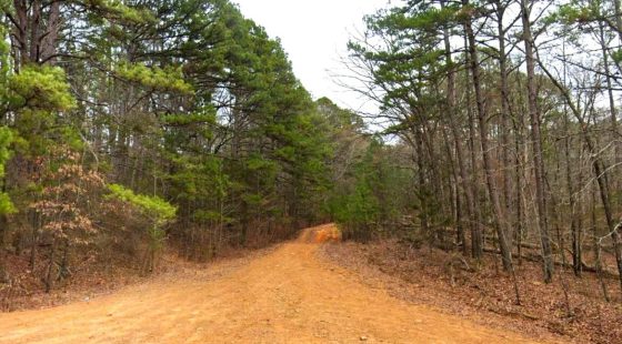 0.47-Acre Land for Sale in Mountain View Arkansas in Van Buren County, AR