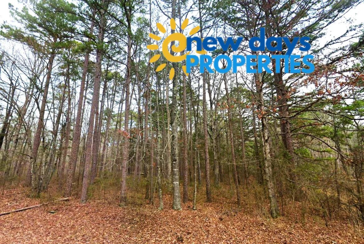 0.47-Acre Land for Sale in Mountain View Arkansas - Main image