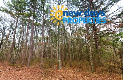 0.47-Acre Land for Sale in Mountain View Arkansas