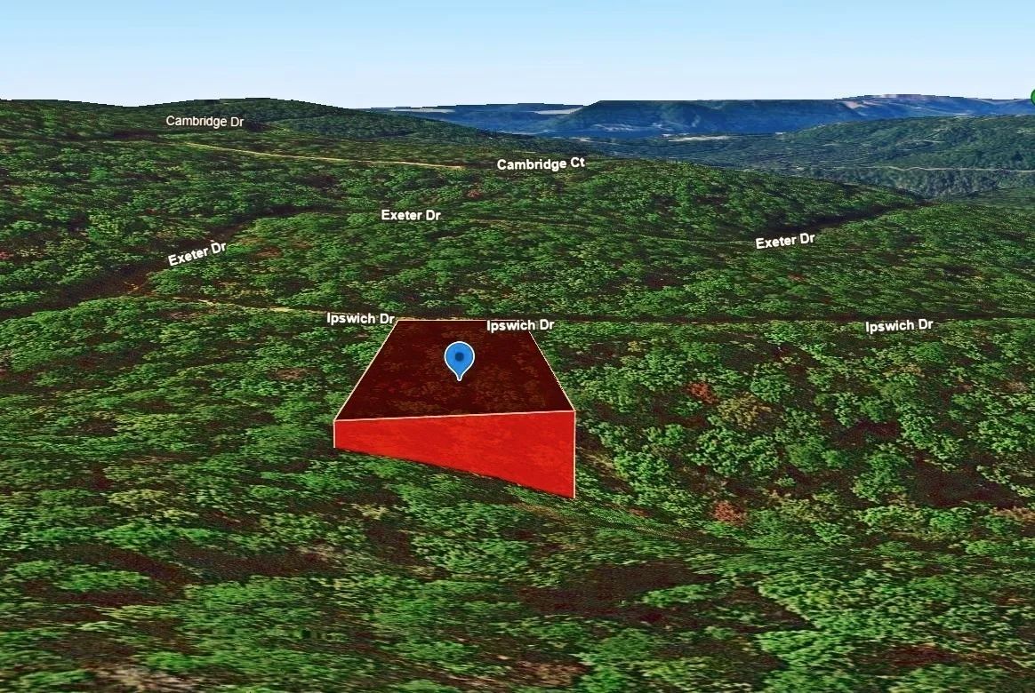 Decorative background for 0.47-Acre Land for Sale in Mountain View Arkansas image 5