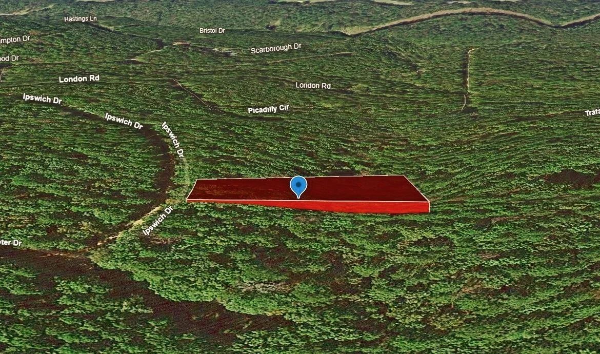Decorative background for 0.47-Acre Land for Sale in Mountain View Arkansas image 6