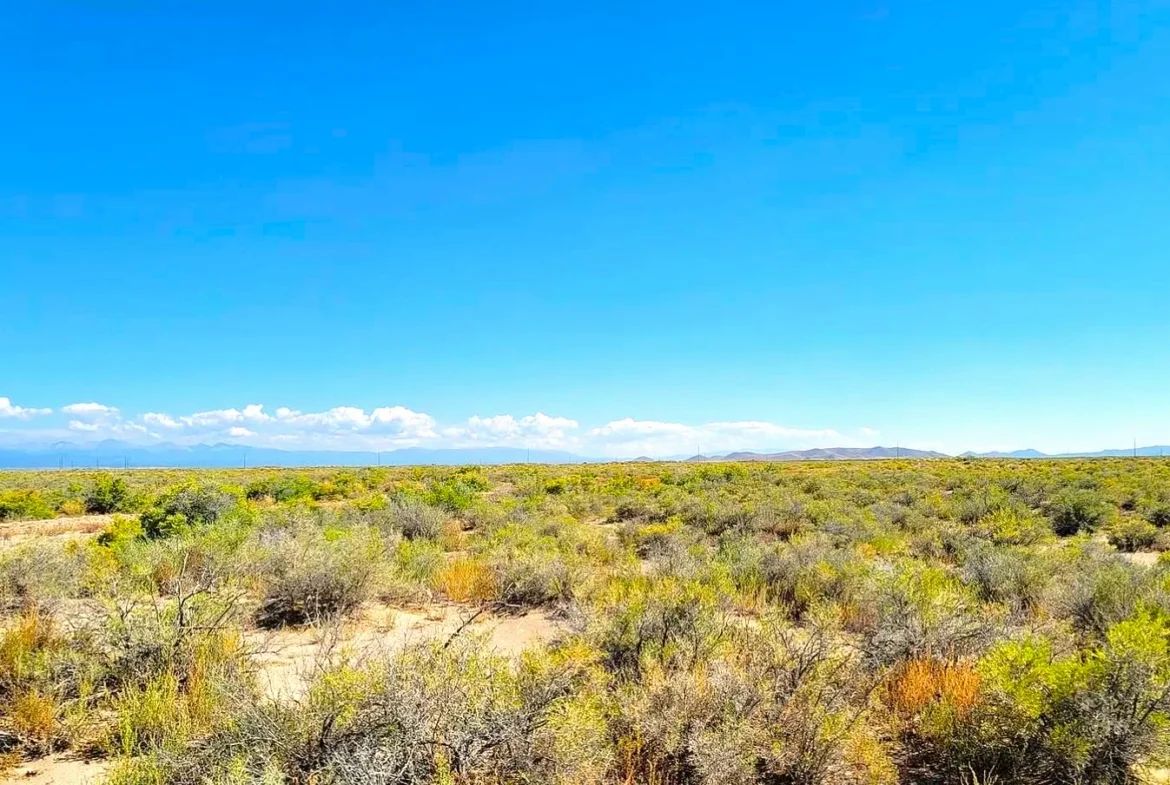 2.58 Acres Land for Sale in Alamosa - Image 3