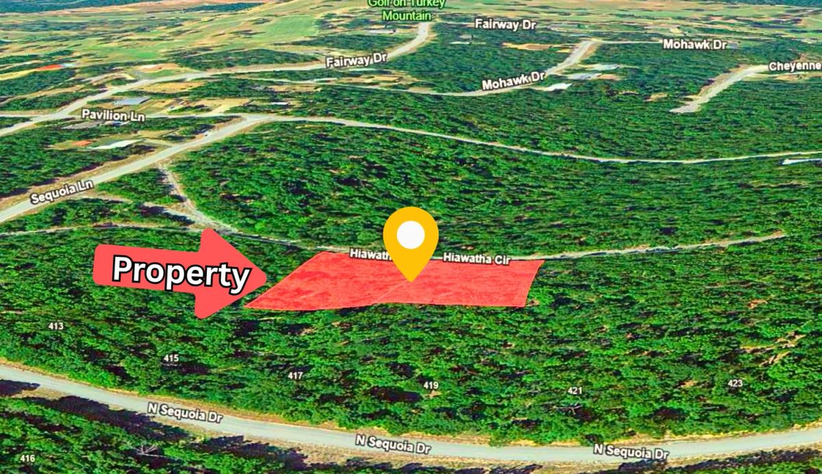 Decorative background for 0.88-Acre Lot for Sale in Horseshoe Bend, AR image 9