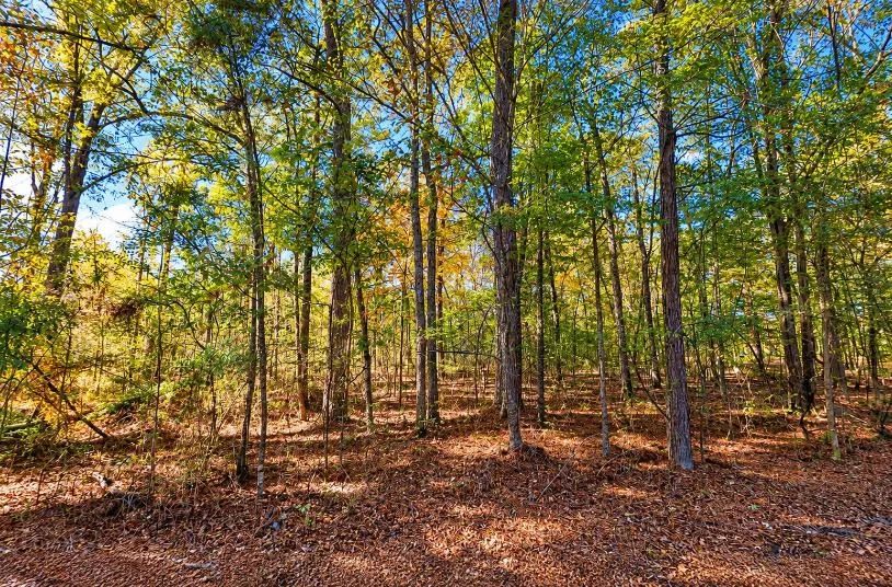 0.25-Acre Wooded Lot for Sale
