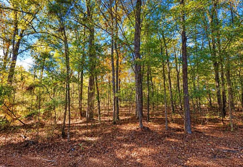 0.25-Acre Wooded Lot for Sale in Rankin County, MS